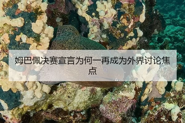 mu-ba-pei-jue-sai-xuan-yan-wei-he-yi-zai-cheng-wei-wai-jie-tao-lun-jiao-dian-2-537.jpg
